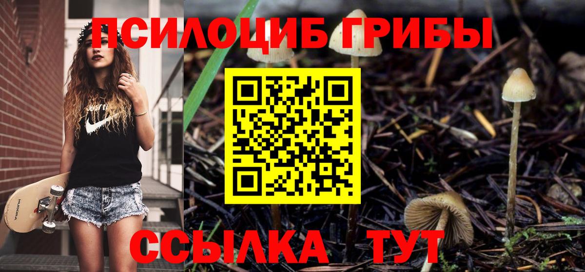 магазин  наркотиков  Галлюциногенные грибы мицелий  Асино  Вход с VPN  Галлюциногенные грибы Magic Shrooms 